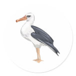 Alberto Albatross stickers