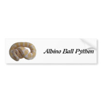 Albino Ball Python Bumper Sticker