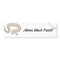Albino Black Pastel Bumper Sticker