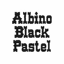 Albino Black Pastel Classic Polo Shirt