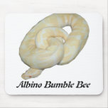 Albino Bumble Bee Mousepads