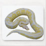 Albino Cinnamon Mouse Pad
