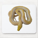 Albino Genetic Stripe Mouse Pad