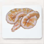 Albino Het Red Axanthic Mousepads
