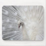 Albino Peacock Mouse Pad
