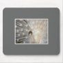 Albino Peacock Mousepad