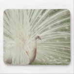 Albino peacock mouse mats