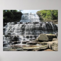 Albion Falls Posters