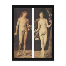 Albrecht Durer Adam And Eve Post Cards