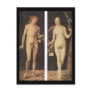 Albrecht Durer Adam And Eve Post Cards