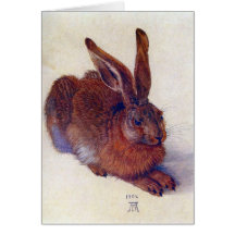 Albrecht Durer - Field hare Cards