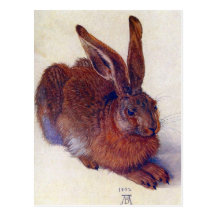 Albrecht Durer - Field Hare GC Post Card