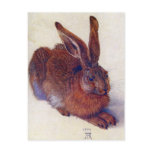 Albrecht Durer - Field Hare GC Post Card