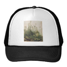 Albrecht Durer Great Piece of Turf Mesh Hats
