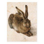 Albrecht Dürer - Junger Hase (Young Hare), 1502 Postcards