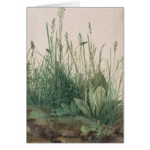 Albrecht Durer Sketch Greeting Cards