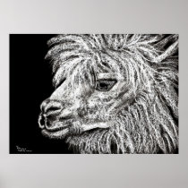 alcapa print