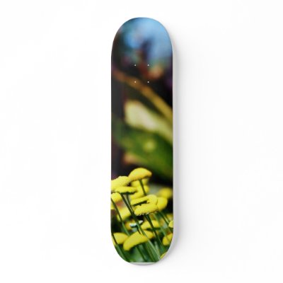 Alcazar Garden In Balboa Park Skateboard by lifesphere