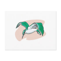 alcyon bird postcards