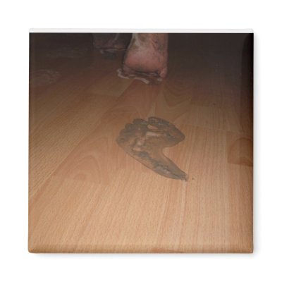 Aleda dirtyfeet Magnet by ALEDA_