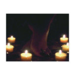 Aleda waxy  Postcard