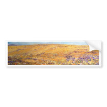 Alentejo na Primavera Bumper Sticker