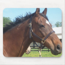 Alert Arab Horse Mouse Pad