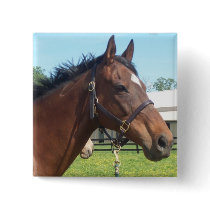 Alert Arab Horse Pin