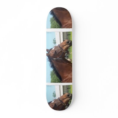 Alert Arabian Horse Skateboard by HorseStall