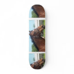Alert Arabian Horse Skateboard