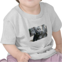 Alert Black Lab Baby T-Shirt