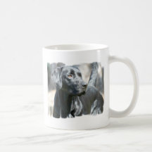 Alert Black Lab Coffee Mug