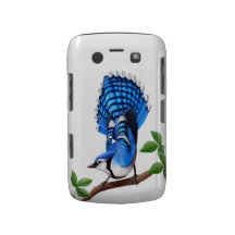 Alert Blue Jay Bird Blackberry Bold Case