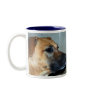 Alert Coffee Mugs