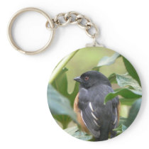 Alert Eastern Towhee