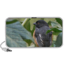 Alert Eastern Towhee Mini Speakers