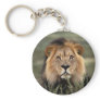 Alert Lion Keychains