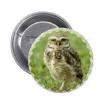Alert Owl Button