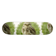 Alert Owl Skateboard