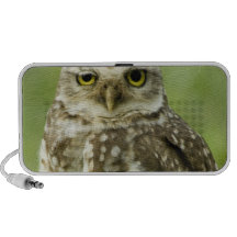 Alert Owl Speakers