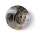 Alert Wolf Pins