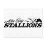 Alex Bay Stallions Logo