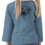 Alex, Yellow Labrador Retriever