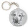 Alex, Yellow Labrador Retriever