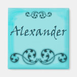 Alexander Ornamental Magnet