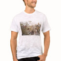 Alexander The Great t-shirts