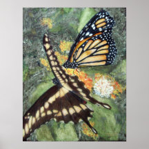 Alexa's Butterflies Poster