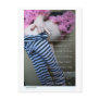 Alexia Anastasio "Nonesense" Postcard
