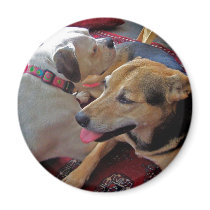 Alfie & Holly: Best Buds Magnet