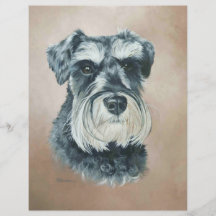 Alfie - miniature schnauzer flyers